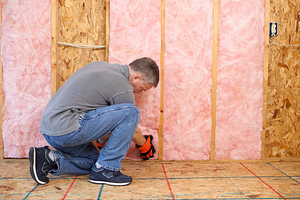 Best Commercial Insulation in Belgium, WI